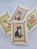 Assorted Cat cards and envelope