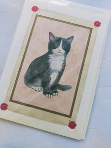 Cat card and envelope